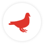KAONET-icon-pigeon